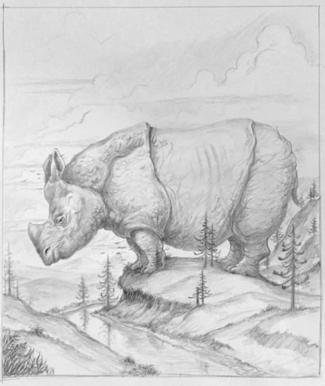 Rhino - Pencil Drawing - SOLD