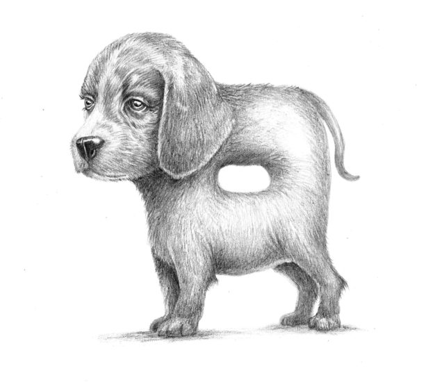 A Very Handy Puppy - Pencil Drawing - SOLD