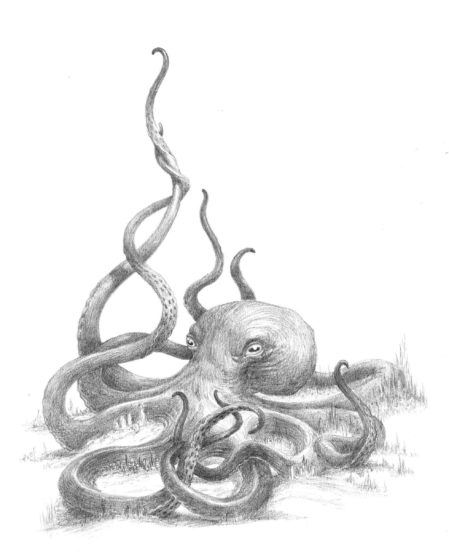 Personal Octopus - Life Drawing - SOLD